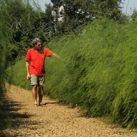 Und Freizeitanlage Rauch-hof *