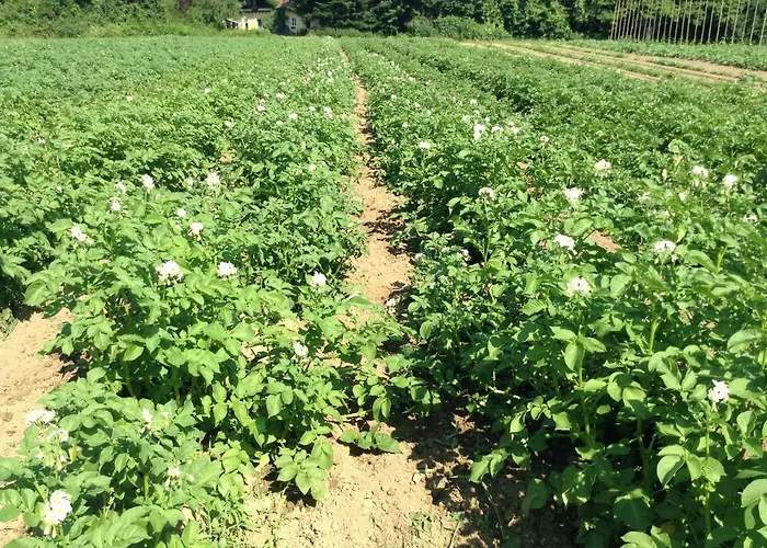 Und Freizeitanlage Rauch-hof