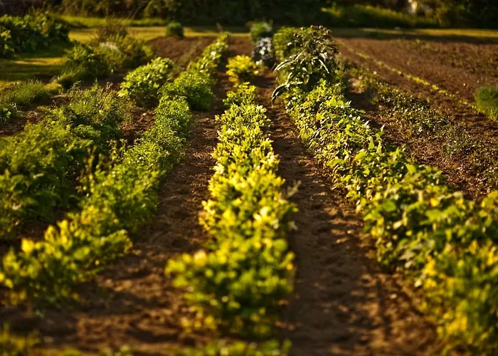 Und Freizeitanlage Rauch-hof