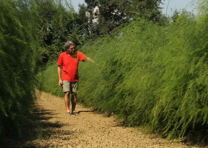 Und Freizeitanlage Rauch-hof *